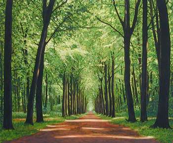 "Allee im Brhler Schlosspark"