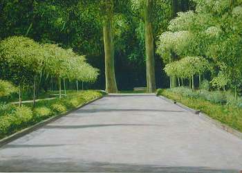 "Rombergallee  Weg zum Rondell"