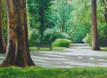 "Rombergpark  Weg aus dem Rondell"
